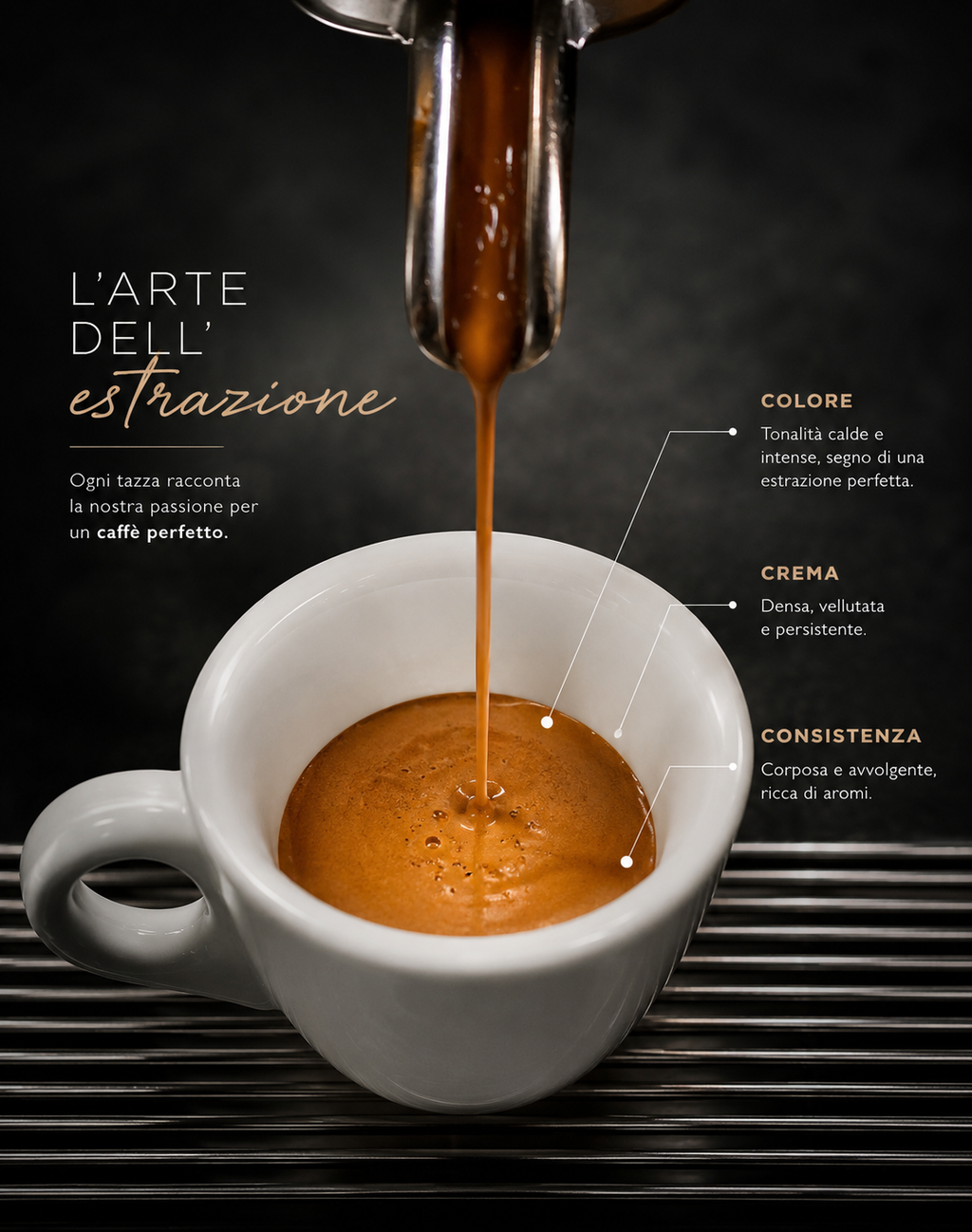 BOX DEGUSTAZIONE cialde